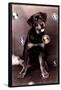 Dog with Bubbles-null-Framed Poster