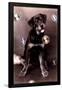 Dog with Bubbles-null-Framed Poster