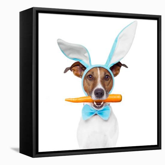 Dog with Bunny Ears and A Carrot-Javier Brosch-Framed Stretched Canvas