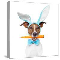 Dog with Bunny Ears and A Carrot-Javier Brosch-Stretched Canvas