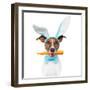 Dog with Bunny Ears and A Carrot-Javier Brosch-Framed Premium Photographic Print