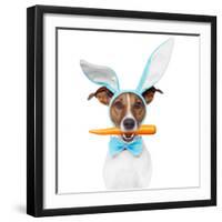 Dog with Bunny Ears and A Carrot-Javier Brosch-Framed Premium Photographic Print