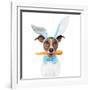 Dog with Bunny Ears and A Carrot-Javier Brosch-Framed Photographic Print