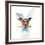 Dog with Bunny Ears and A Carrot-Javier Brosch-Framed Photographic Print