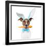 Dog with Bunny Ears and A Carrot-Javier Brosch-Framed Photographic Print