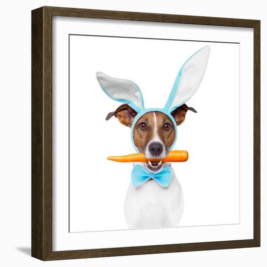 Dog with Bunny Ears and A Carrot-Javier Brosch-Framed Photographic Print