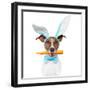 Dog with Bunny Ears and A Carrot-Javier Brosch-Framed Photographic Print