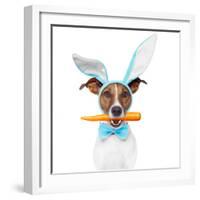 Dog with Bunny Ears and A Carrot-Javier Brosch-Framed Photographic Print