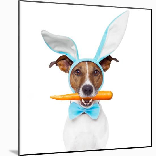 Dog with Bunny Ears and A Carrot-Javier Brosch-Mounted Photographic Print