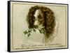 Dog with Card and Holly-null-Framed Stretched Canvas