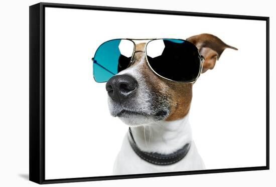 Dog With Funny Shades-Javier Brosch-Framed Stretched Canvas