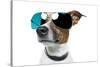 Dog With Funny Shades-Javier Brosch-Stretched Canvas