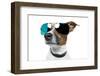 Dog With Funny Shades-Javier Brosch-Framed Photographic Print