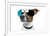 Dog With Funny Shades-Javier Brosch-Framed Photographic Print