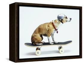 Dog with Helmet Skateboarding-Chris Rogers-Framed Stretched Canvas