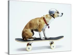 Dog with Helmet Skateboarding-Chris Rogers-Stretched Canvas