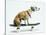 Dog with Helmet Skateboarding-Chris Rogers-Stretched Canvas
