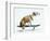 Dog with Helmet Skateboarding-Chris Rogers-Framed Premium Photographic Print