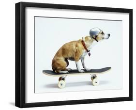 Dog with Helmet Skateboarding-Chris Rogers-Framed Premium Photographic Print