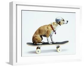 Dog with Helmet Skateboarding-Chris Rogers-Framed Premium Photographic Print