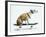 Dog with Helmet Skateboarding-Chris Rogers-Framed Photographic Print