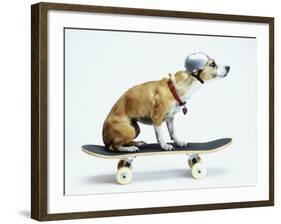 Dog with Helmet Skateboarding-Chris Rogers-Framed Photographic Print