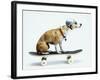 Dog with Helmet Skateboarding-Chris Rogers-Framed Photographic Print