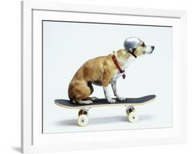 Dog with Helmet Skateboarding-Chris Rogers-Framed Photographic Print