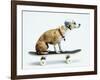 Dog with Helmet Skateboarding-Chris Rogers-Framed Photographic Print