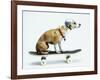 Dog with Helmet Skateboarding-Chris Rogers-Framed Photographic Print