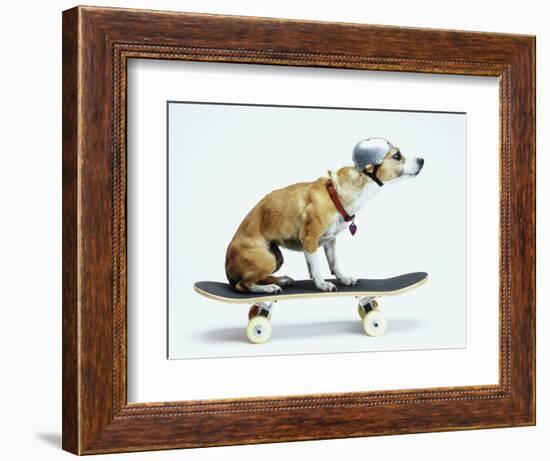 Dog with Helmet Skateboarding-Chris Rogers-Framed Photographic Print