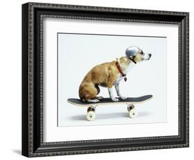 Dog with Helmet Skateboarding-Chris Rogers-Framed Photographic Print