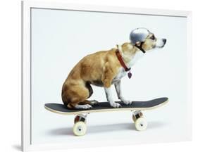 Dog with Helmet Skateboarding-Chris Rogers-Framed Photographic Print