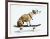 Dog with Helmet Skateboarding-Chris Rogers-Framed Photographic Print