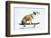 Dog with Helmet Skateboarding-Chris Rogers-Framed Photographic Print