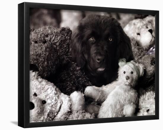 Dog with Teddies-null-Framed Poster