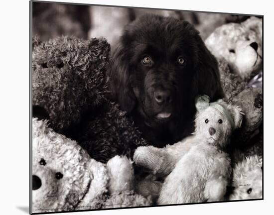 Dog with Teddies-null-Mounted Poster