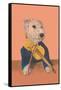 Dog with Violin-null-Framed Stretched Canvas