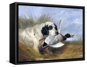 Dog with Wild Duck, 19th Century-Richard Ansdell-Framed Stretched Canvas