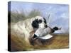 Dog with Wild Duck, 19th Century-Richard Ansdell-Stretched Canvas