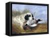 Dog with Wild Duck, 19th Century-Richard Ansdell-Framed Stretched Canvas