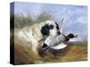 Dog with Wild Duck, 19th Century-Richard Ansdell-Stretched Canvas