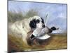 Dog with Wild Duck, 19th Century-Richard Ansdell-Mounted Giclee Print