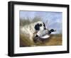 Dog with Wild Duck, 19th Century-Richard Ansdell-Framed Giclee Print