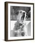 Dog Yawning-Bettmann-Framed Photographic Print