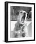 Dog Yawning-Bettmann-Framed Photographic Print