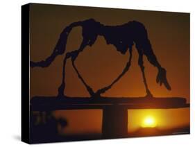 Dog-Alberto Giacometti-Stretched Canvas