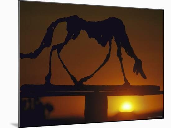 Dog-Alberto Giacometti-Mounted Photographic Print