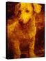 Dog-Andre Burian-Stretched Canvas