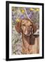 Dog-Lynn M^ Stone-Framed Premium Photographic Print